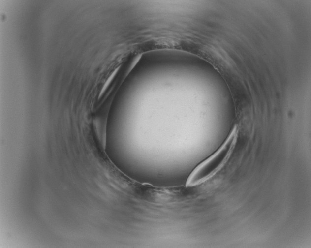 X0000088660229200706081710