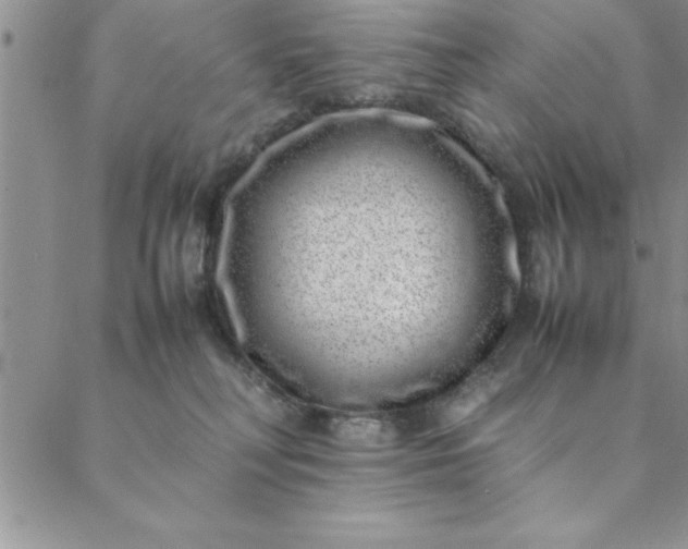 X0000088660230200706081710