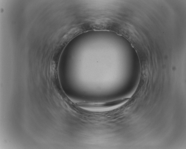 X0000088660231200706081710