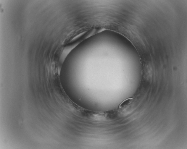 X0000088660232200706081710