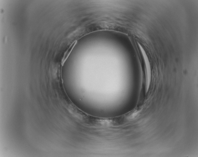 X0000088660233200706081710