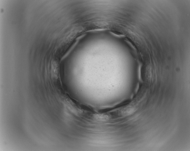 X0000088660234200706081710