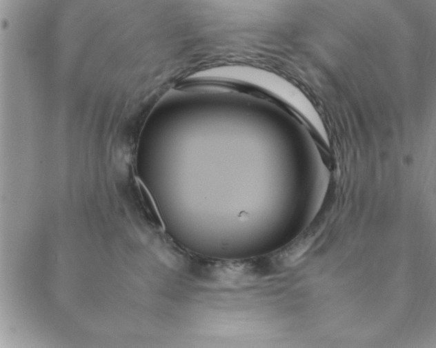 X0000088660235200706081710