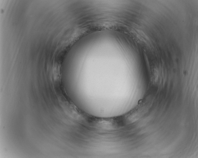 X0000088660236200706081710