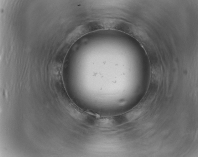 X0000088660237200706081710