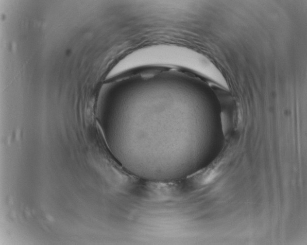 X0000088660239200706081710