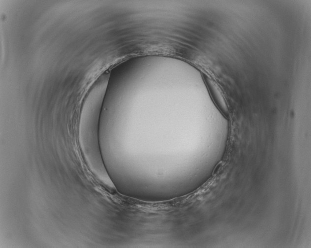 X0000088660241200706081709