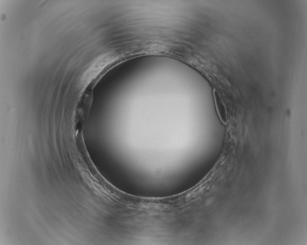 X0000088660242200706081710