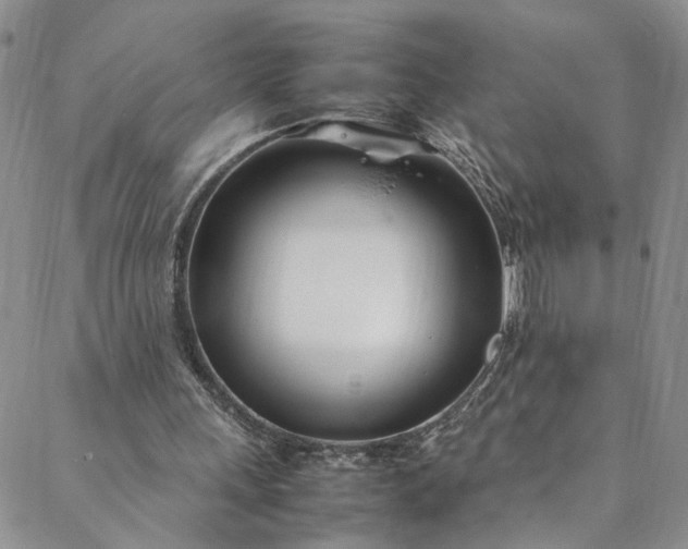 X0000088660243200706081710