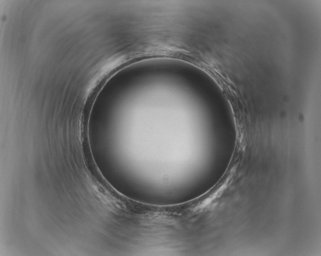 X0000088660244200706081710