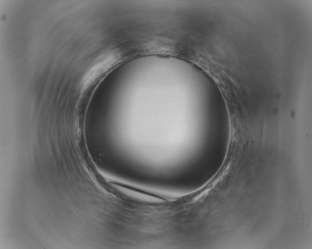 X0000088660245200706081710