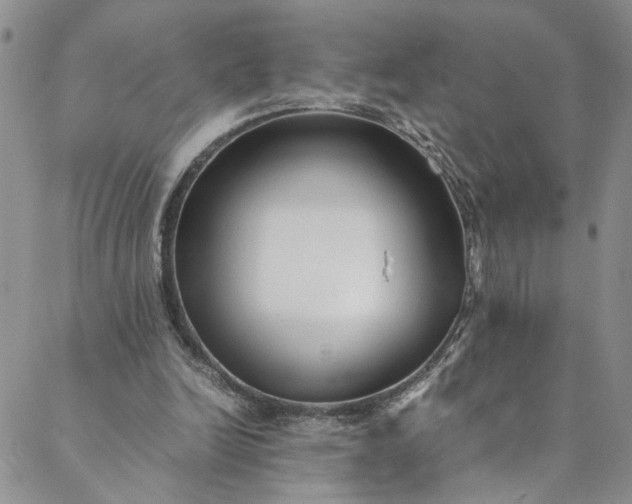 X0000088660246200706081710