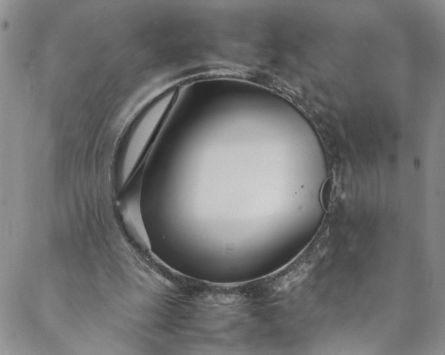 X0000088660247200706081710