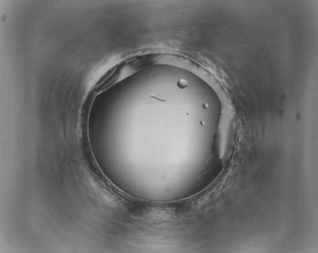 X0000088660248200706081710