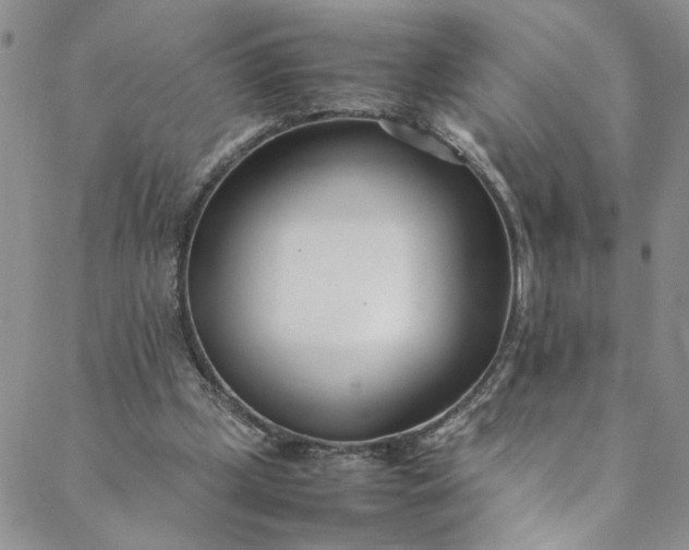 X0000088660249200706081710