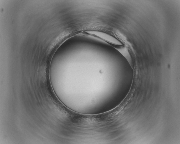 X0000088660250200706081710