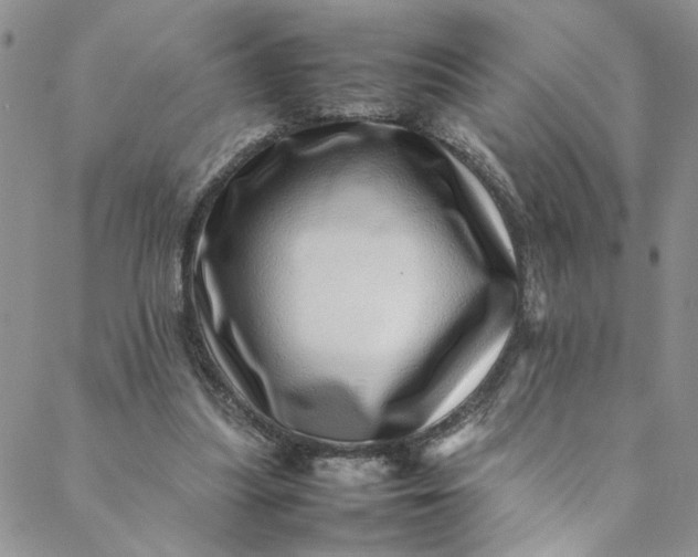 X0000088660251200706081710