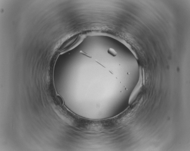 X0000088660252200706081710