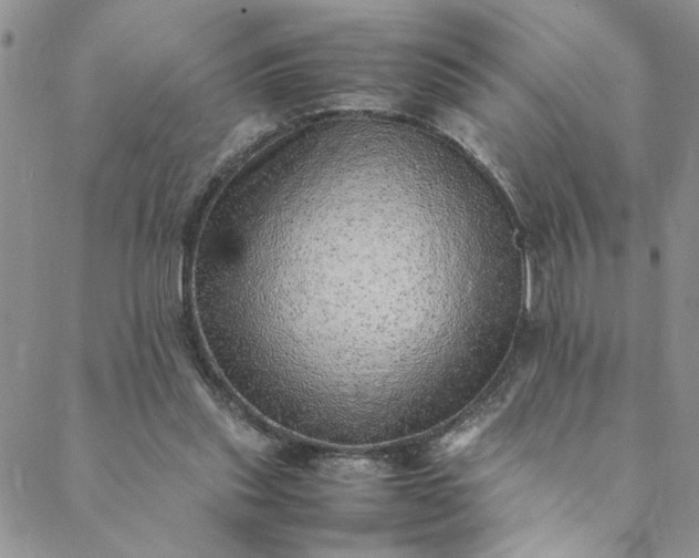 X0000088660253200706081710