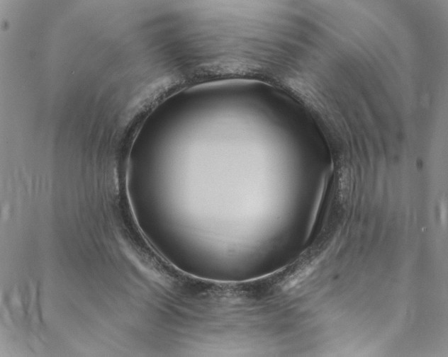 X0000088660254200706081710