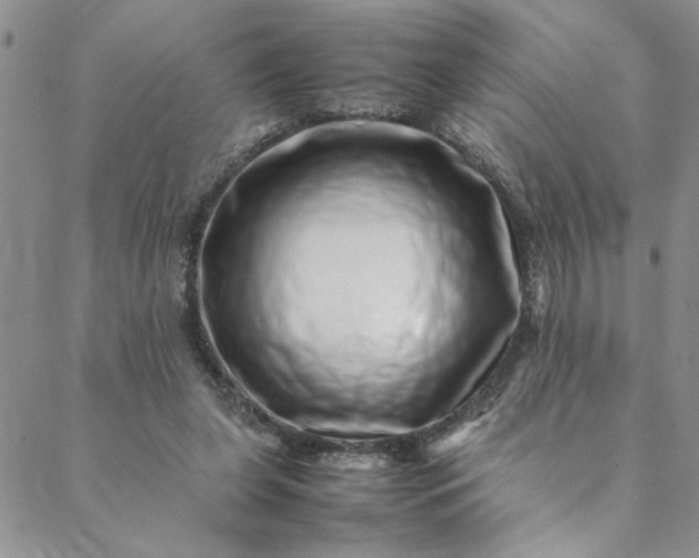 X0000088660255200706081710