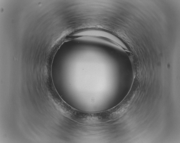 X0000088660256200706081710