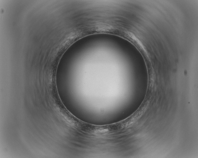 X0000088660257200706081710