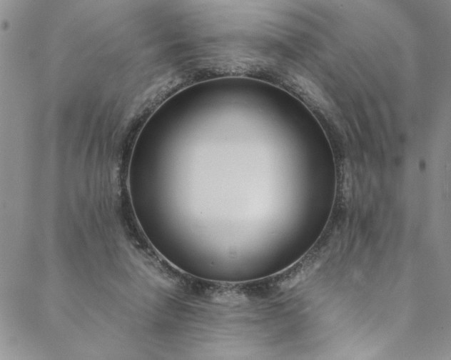 X0000088660258200706081710