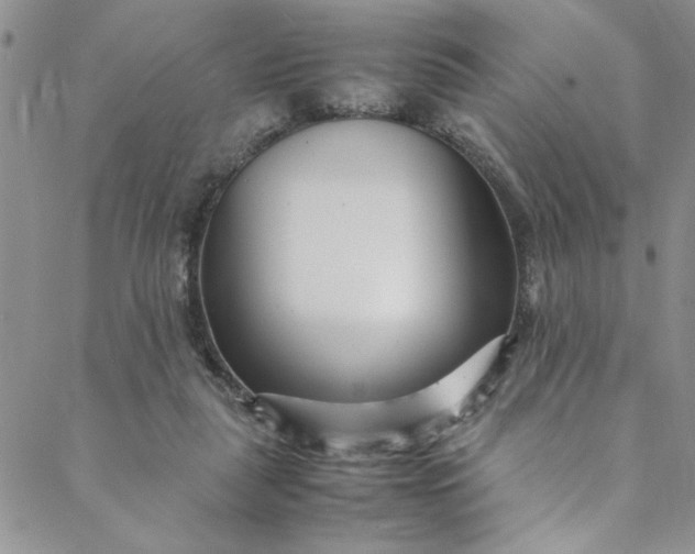 X0000088660259200706081710