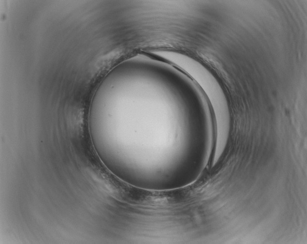 X0000088660260200706081710