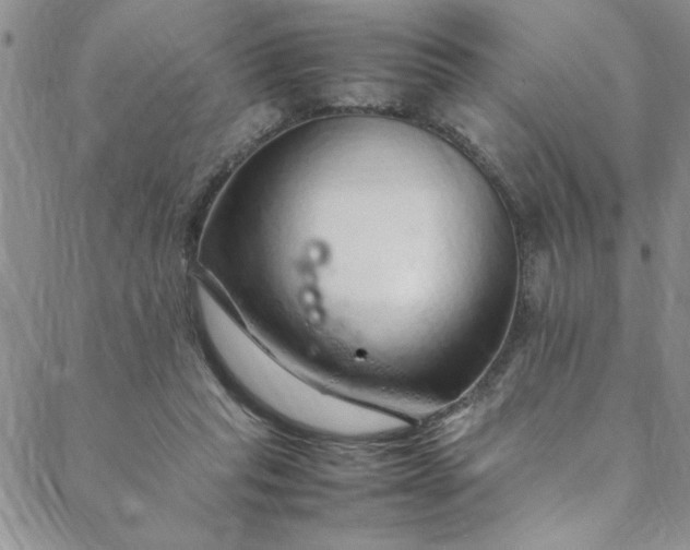 X0000088660261200706081710