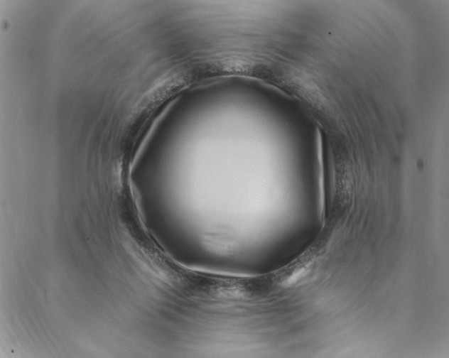 X0000088660262200706081710