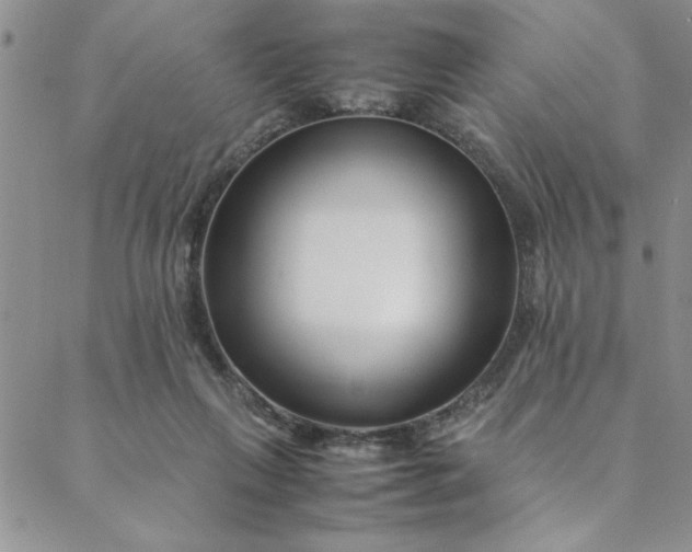 X0000088660263200706081710