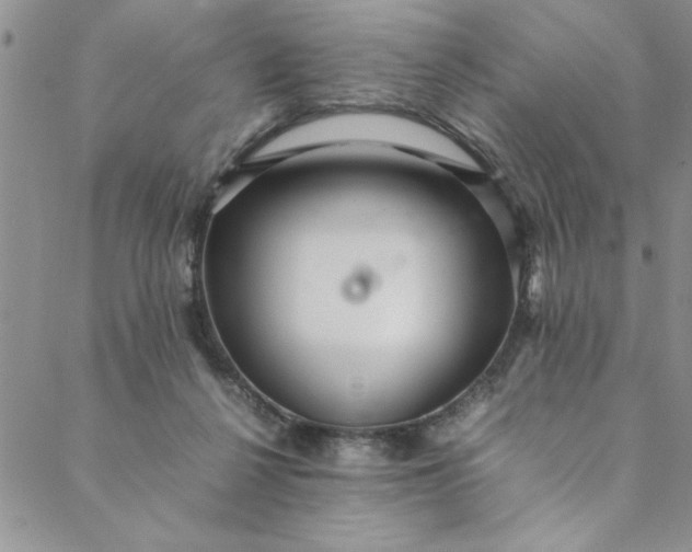 X0000088660264200706081710