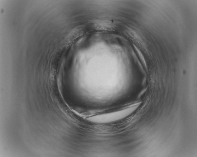 X0000088660265200706081710