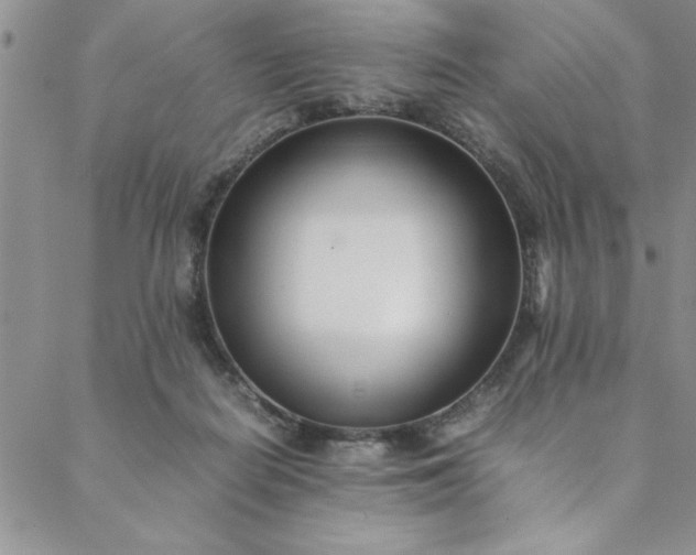 X0000088660266200706081710