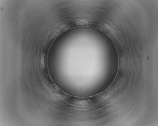 X0000088660267200706081710