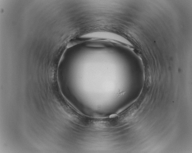 X0000088660268200706081710