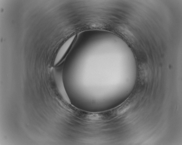 X0000088660269200706081710