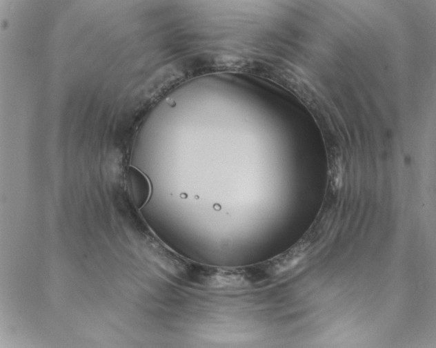 X0000088660270200706081710