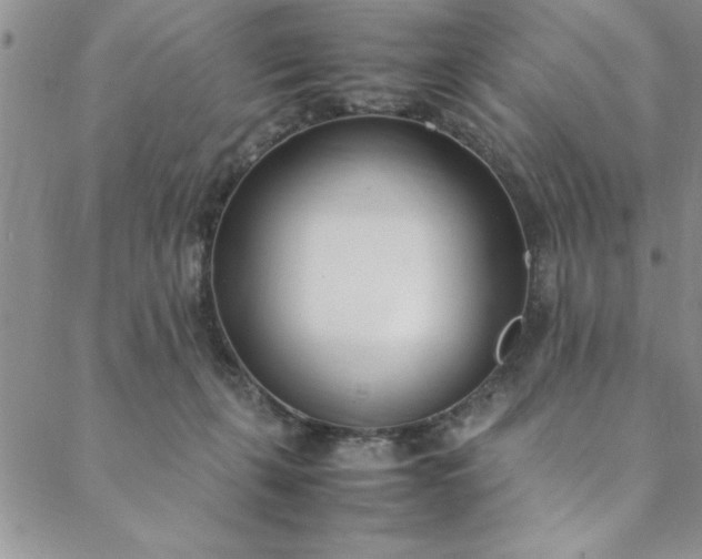 X0000088660271200706081710