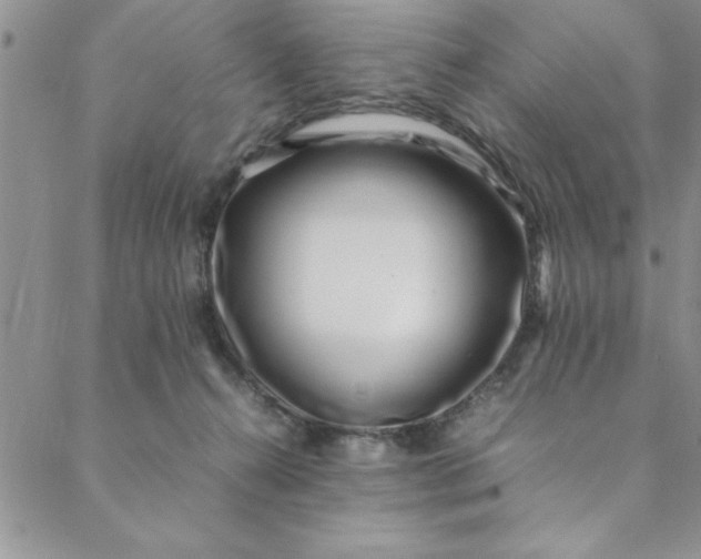 X0000088660272200706081710