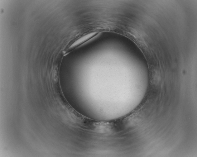 X0000088660273200706081710