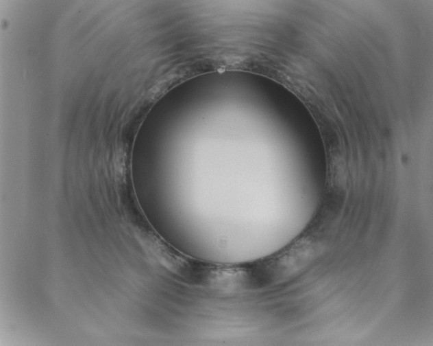 X0000088660274200706081710