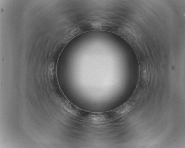 X0000088660275200706081710