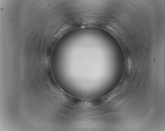 X0000088660276200706081710