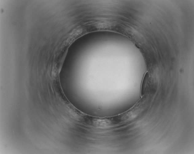 X0000088660277200706081710