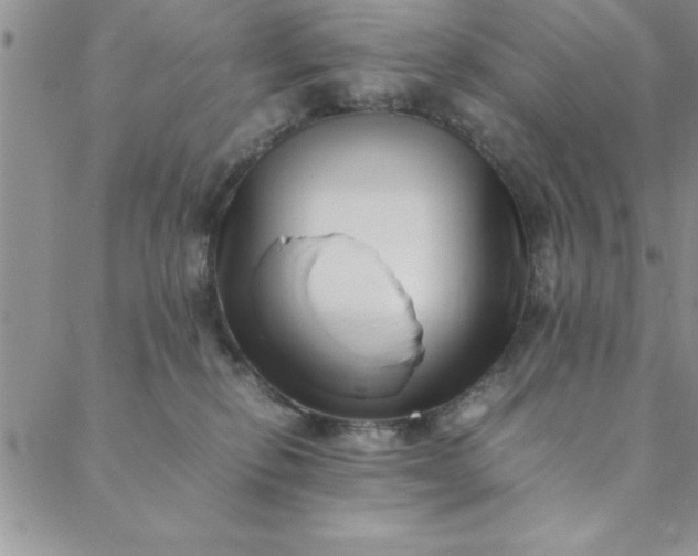 X0000088660278200706081710