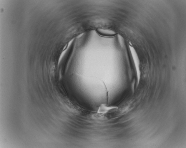 X0000088660279200706081710