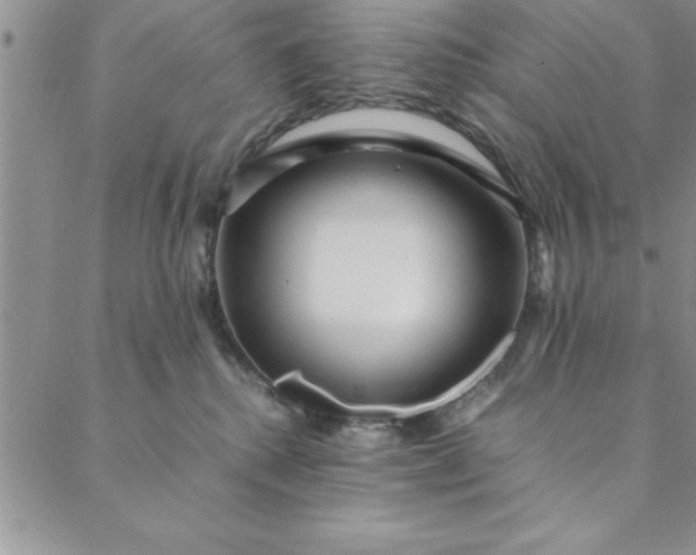 X0000088660280200706081710